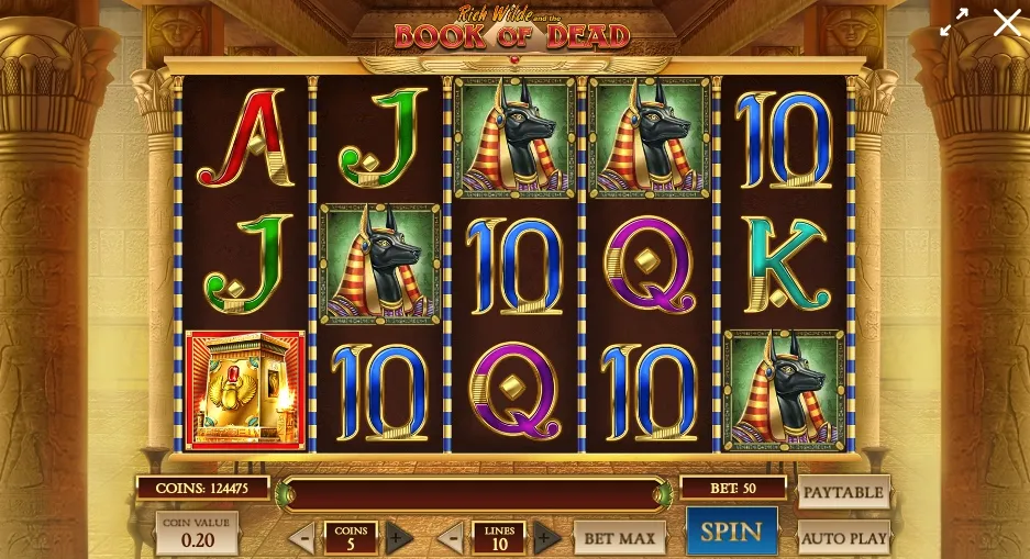Book of Dead Slot